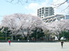 P1000513.JPG