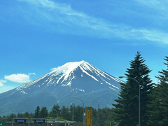 photo1.JPG