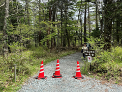 photo4.JPG