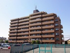 ライオンズマンション船橋海神町 「船橋」 賃貸マンション F0031-2